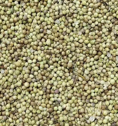 فروش تخم گشنیز شکسته گیاه‌ دارویی)