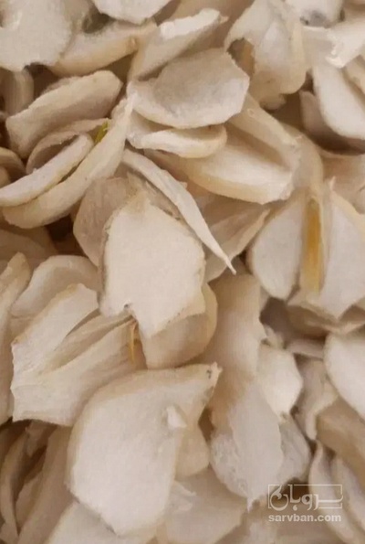 فروش سیر خشک - خلال آفتاب خشک