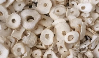 فروش سیر خشک - دستگاه خشک