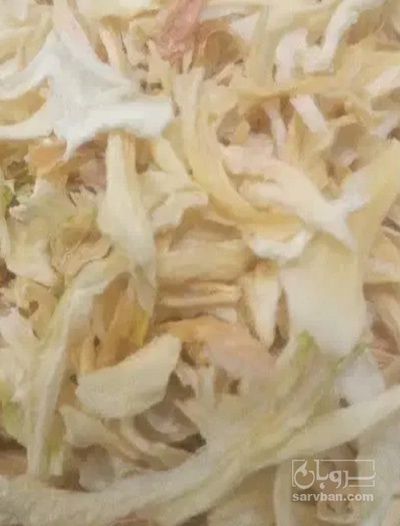 فروش پیاز خشک (گیاه‌ دارویی)