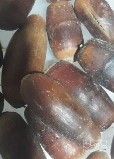 فروش بلوط با پوست