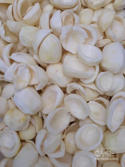 فروش بالنگ خشک (گیاه‌ دارویی)