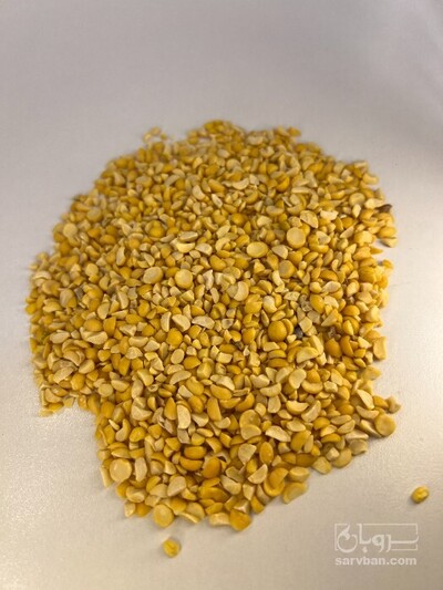 فروش نخود کفتری - لپه