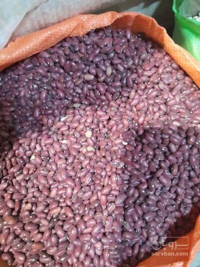 فروش لوبیا قرمز