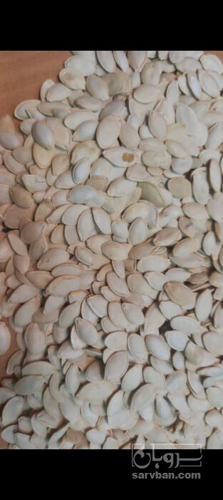 فروش تخمه  کدو بو داده