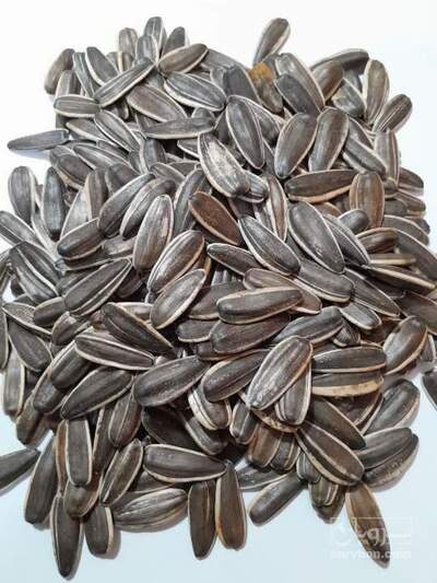 فروش تخمه آفتابگردان بود داده