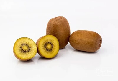 فروش نهال کیوی