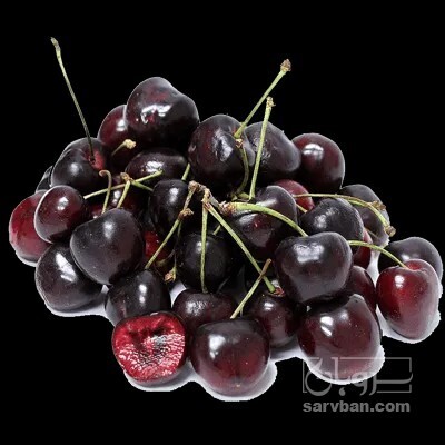 فروش نهال گیلاس