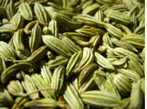 فروش زیره (گیاه‌ دارویی)