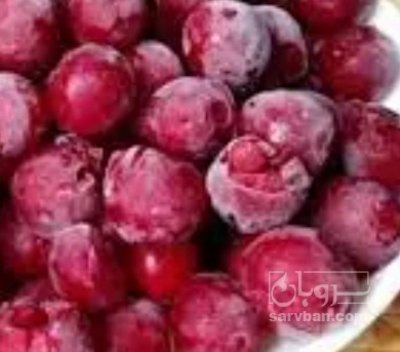 فروش آلبالو با هسته منجمد