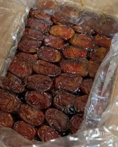 فروش خرما خاصویی
