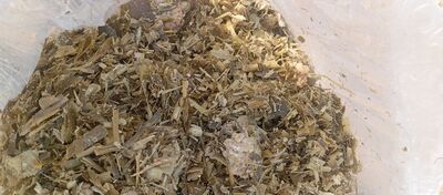 فروش چاپر ذرت - سیلاژ ذرت