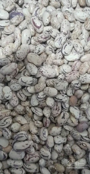 فروش لوبیا چیتی لپه