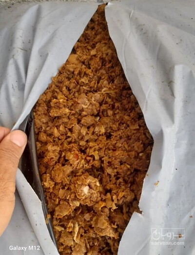 فروش تفاله سیب درختی