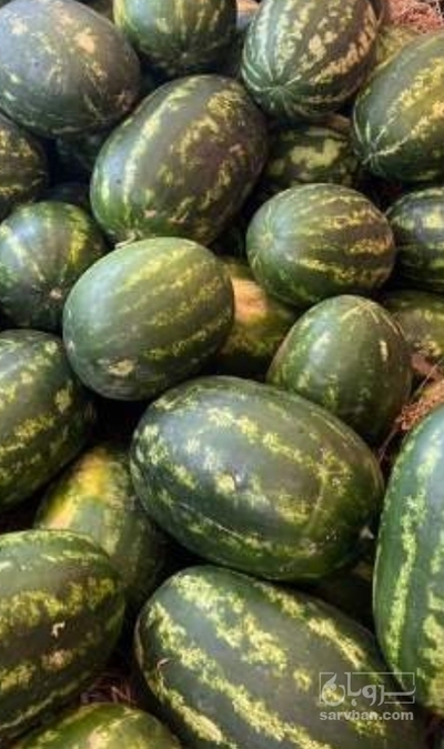 فروش هندوانه