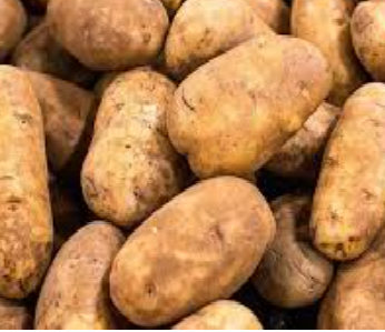 فروش سیب زمینی