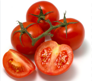 فروش گوجه فرنگی