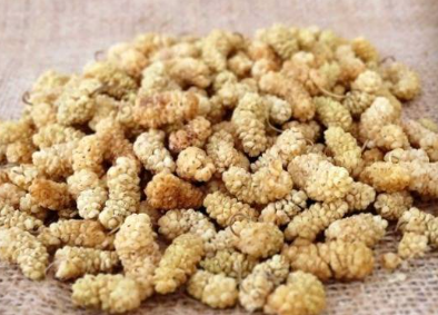 فروش توت خشک