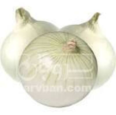 فروش پیازسفید