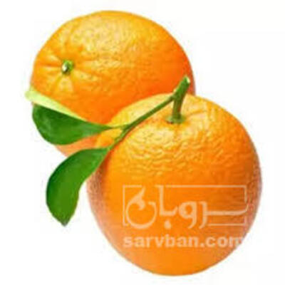 فروش پرتقال