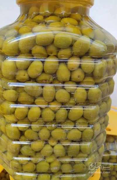 فروش زیتون رویال