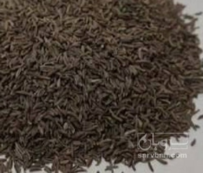 فروش زیره سیاه