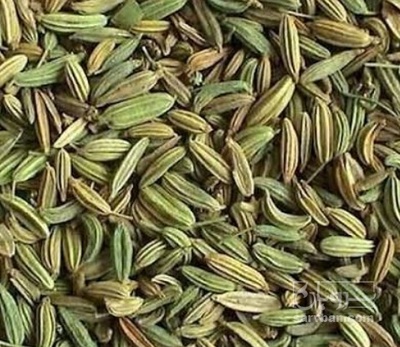 فروش زیره سبز