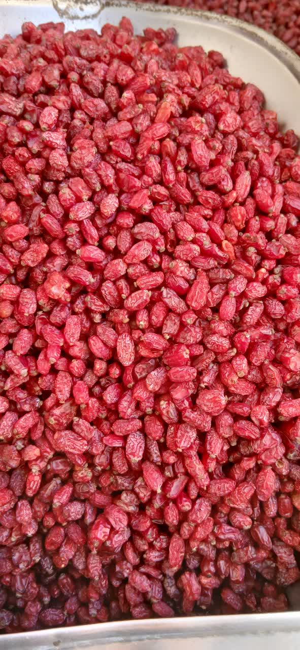 فروش زرشک خشک پفکی