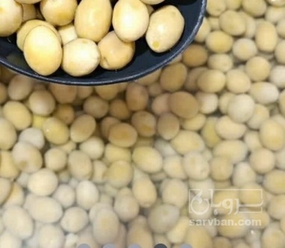 فروش زیتون شکسته