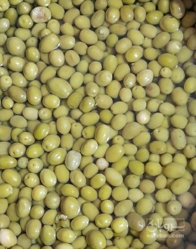 فروش زیتون با هسته