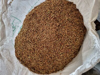 فروش دانه سماق قهوه ای