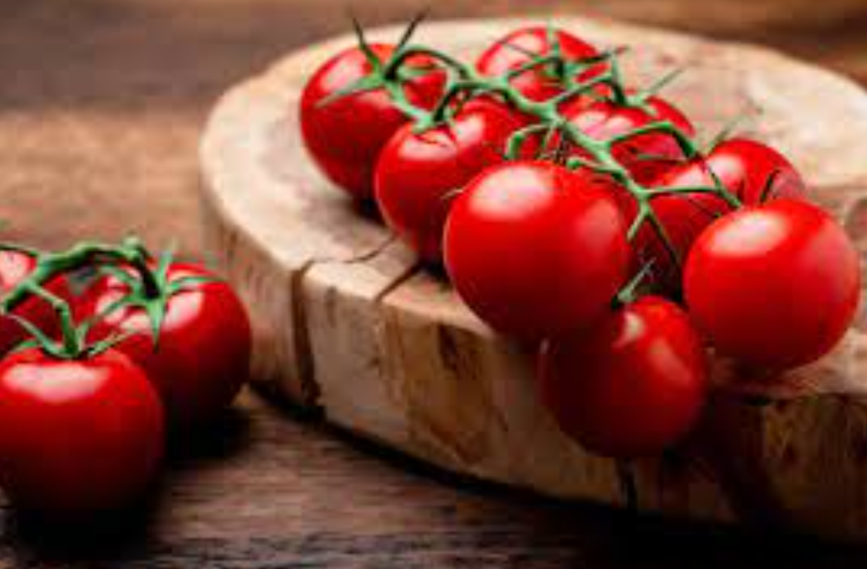 فروش گوجه فرنگی