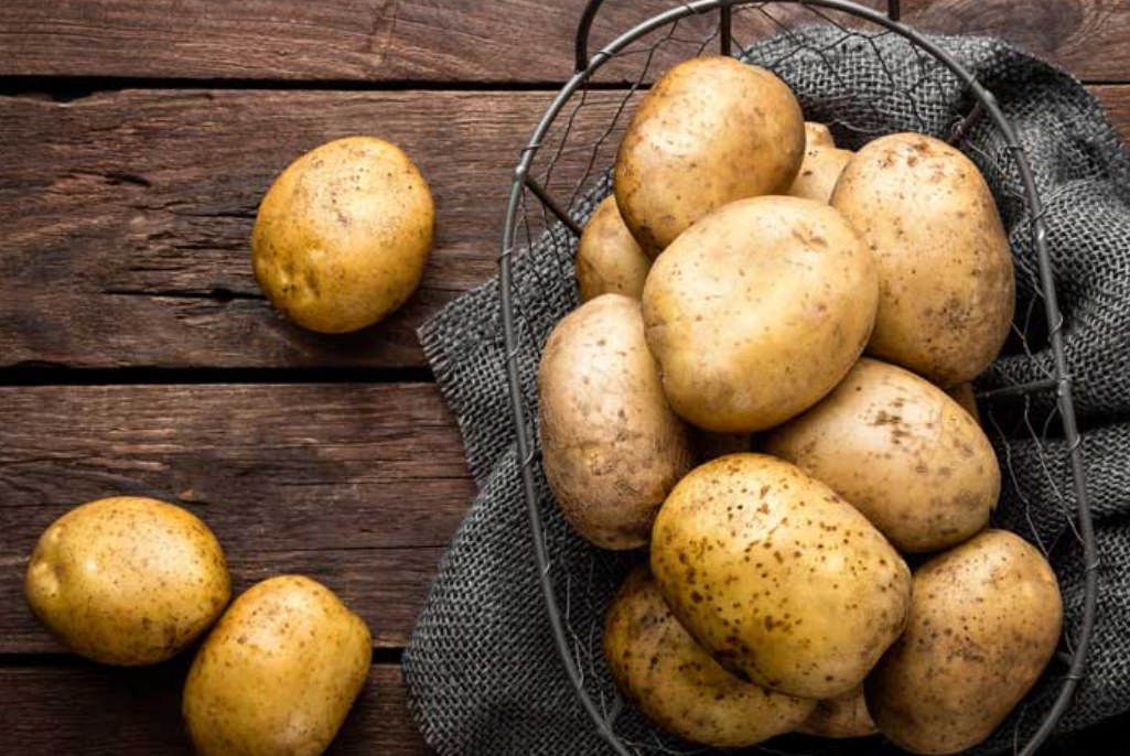 فروش سیب زمینی