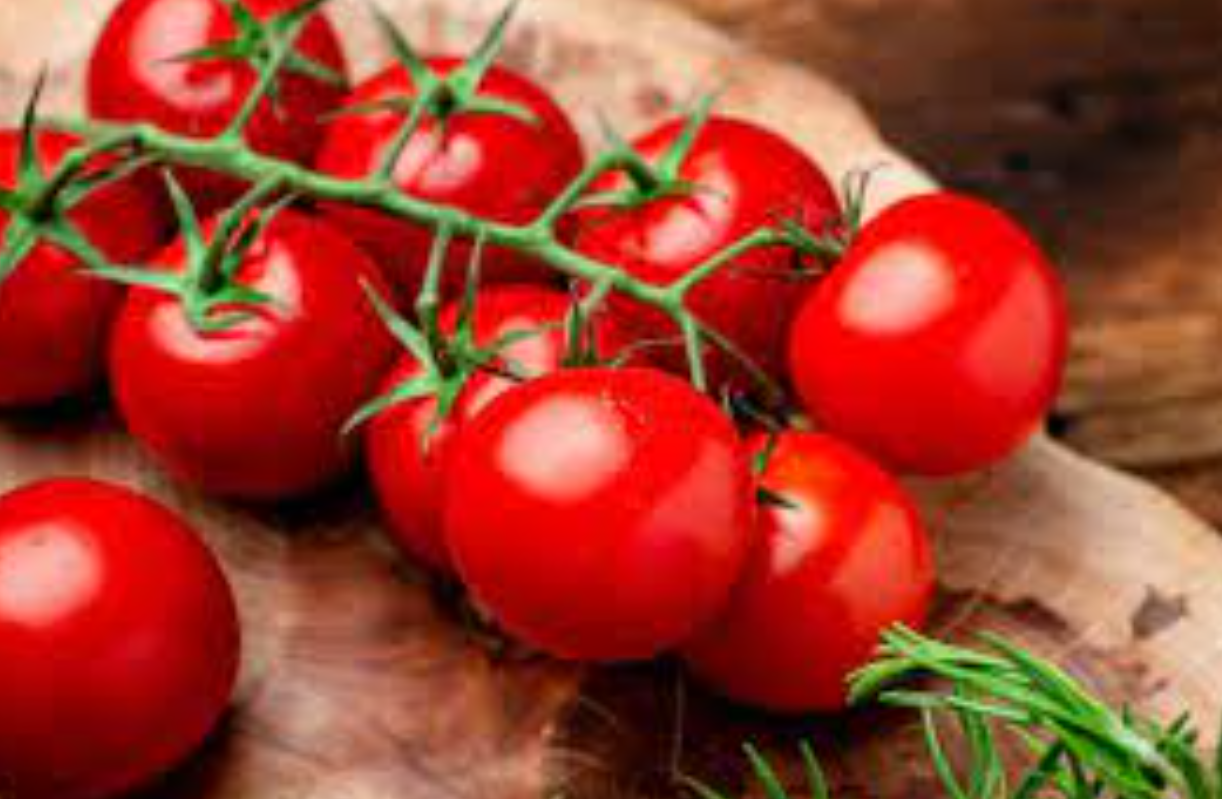 فروش گوجه فرنگی