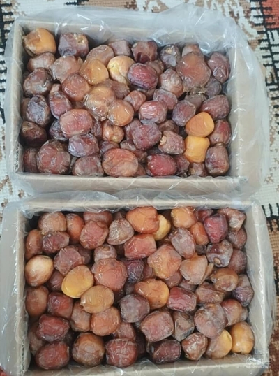 فروش خرما کلوته