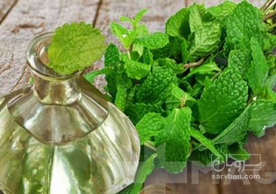 فروش عرق نعناع