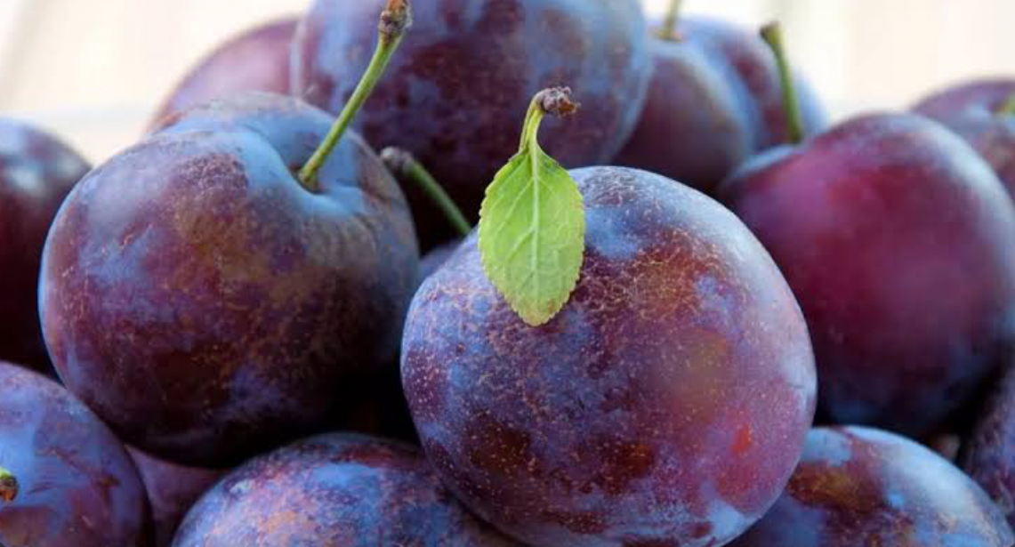 فروش آلو سیاه