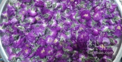 فروش گل محمدی (گیاه‌ دارویی)