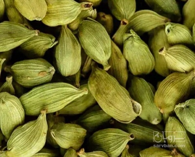 فروش هل (گیاه‌ دارویی)