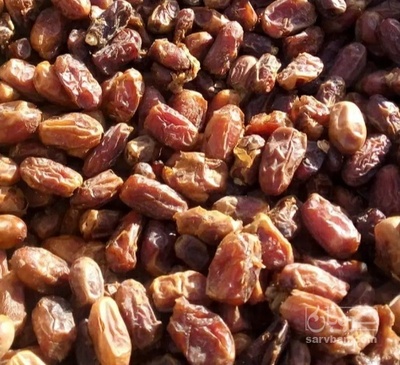 فروش خرما مرداسنگ