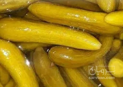 فروش خیار شور ویژه