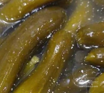 فروش خیار شور ویژه