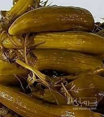 فروش خیار شور حلبی سرکه ایی