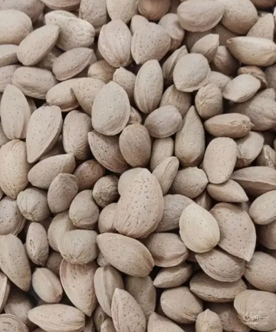 فروش بادام