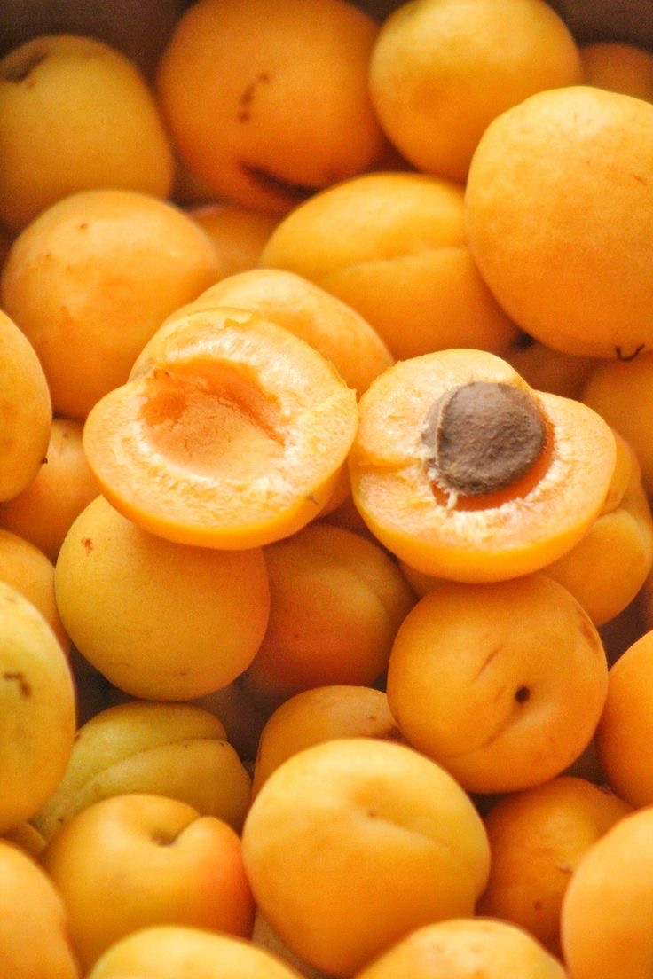 فروش زردآلو