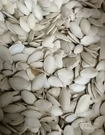 فروش تخمه  کدو بو داده