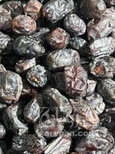 فروش خرماکلوته