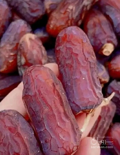 فروش خرما پیارم