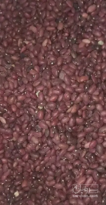 فروش لوبیا قرمز