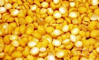 فروش نخود کفتری - لپه